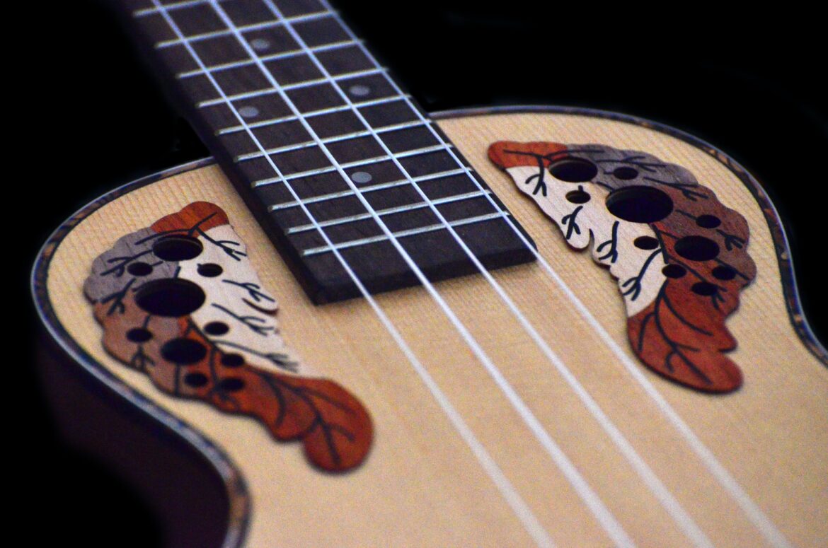 Acordes no cavaquinho todos os acordes de cavaquinho mais de 2000 acordes para cavaco e banjo download acordes de cavaquinho para iniciantes