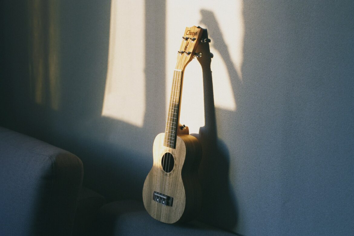 preço cavaquinho para iniciantes cavaquinho preço usado cavaquinho profissional preço cavaquinho preço barato